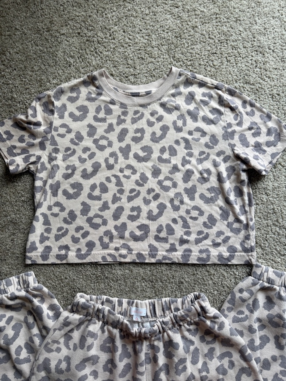 Colsie Leopard Print Set - Picture 2 of 4